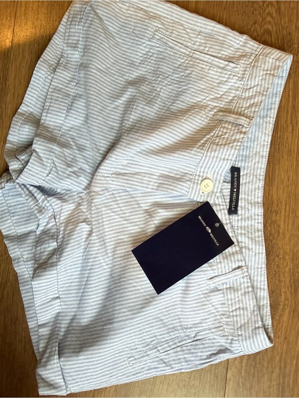 Brandy Melville Light Blue and White Striped Men’s Flat Front Shorts